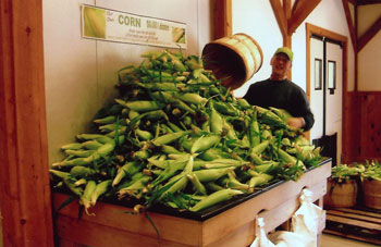 Farmer Mark Parlee Putting out fresh picked corn at Parlee Farms