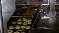 Apple Cider Donuts at Parlee Farms