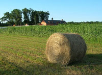Hay used for the Hay Play Area at Parlee Farms