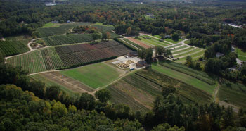 Pick Your Own Fruit Farm and Family Fun at Parlee Farms, Tyngsboro MA