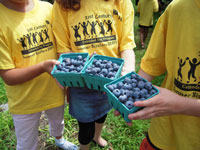 Blueberry Picking Summer Tour at Parlee Farms
