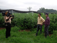 WBZ-TV Todd Gutner interviewing Mark Parlee at Parlee Farms