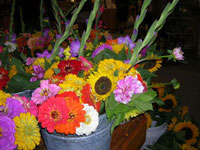 Fresh Picked Flowers At Parlee Farms